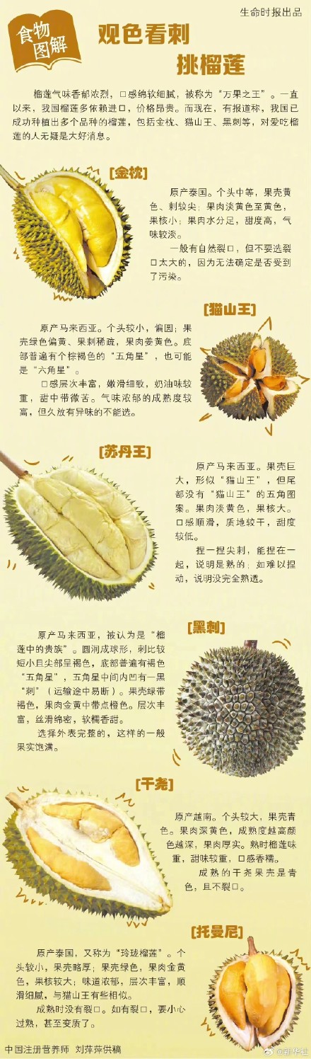 如何选到报恩榴莲?关于榴莲的实用小科普来了! 如何选到报恩榴莲?关于榴莲的实用小科普来了!