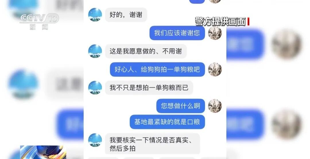 故意伤害犬只拍“卖惨”画面,流浪动物救助骗局起底 故意伤害犬只拍“卖惨”画面,流浪动物救助骗局起底