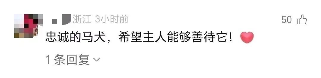 广西一狗狗被洪水冲走失联10天，历尽艰险自行回家，50斤瘦到仅剩20斤，主人泪崩