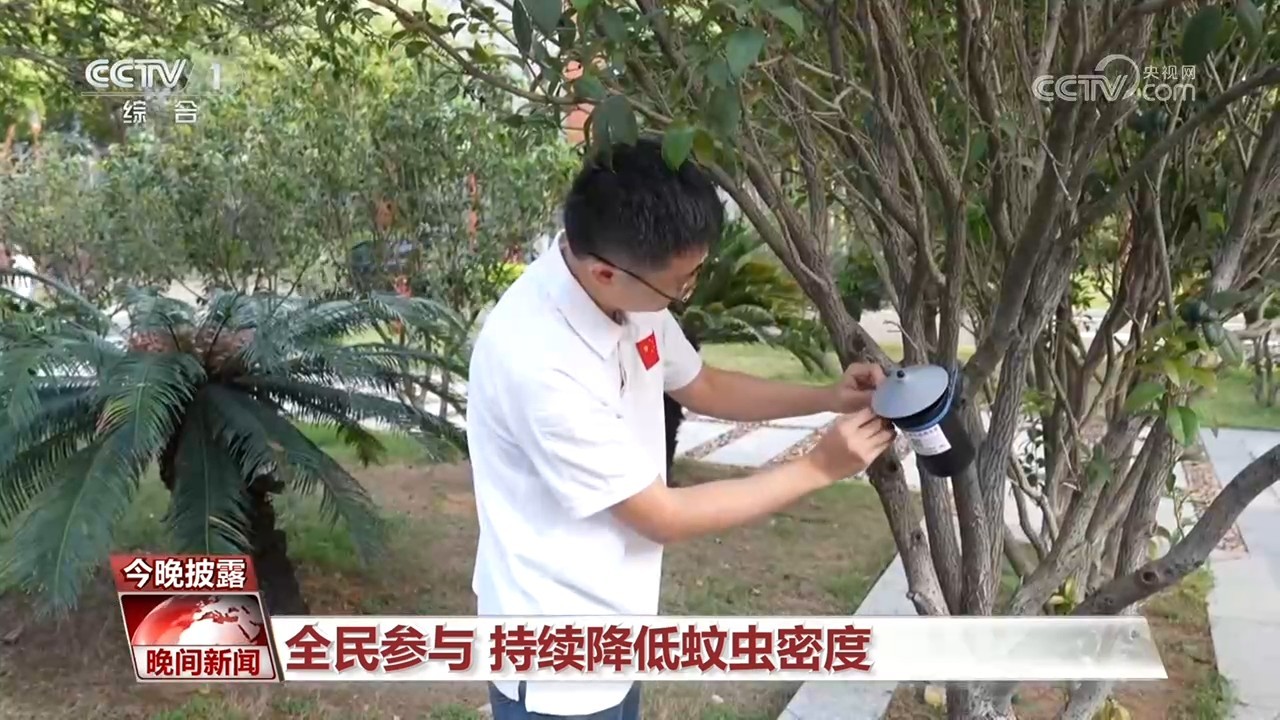 盛夏蚊虫频频侵扰 科学防控如何发力？一文了解