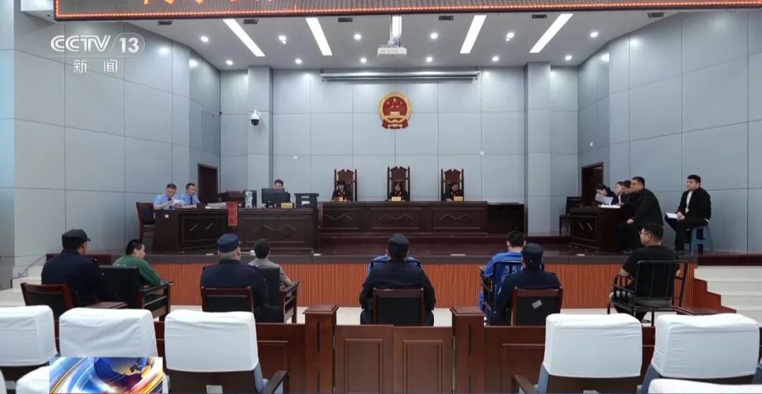 央视曝光流浪动物救助骗局：低价买残疾、年老流浪狗，摆拍拉群催捐款