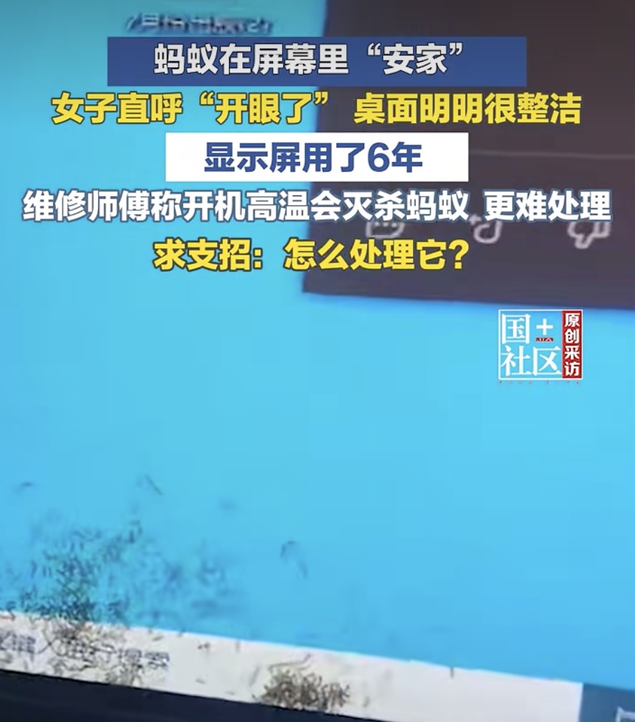 蚂蚁钻进电脑显示屏“筑巢”,当事人:桌面长期保持整洁,显示屏用了6年…… 蚂蚁钻进电脑显示屏“筑巢”,当事人:桌面长期保持整洁,显示屏用了6年……
