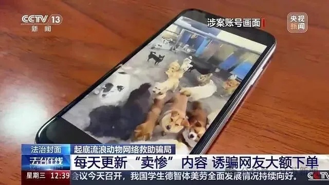 嘴上救狗、暗下狠手,这群骗子该好好管管了! 嘴上救狗、暗下狠手,这群骗子该好好管管了!