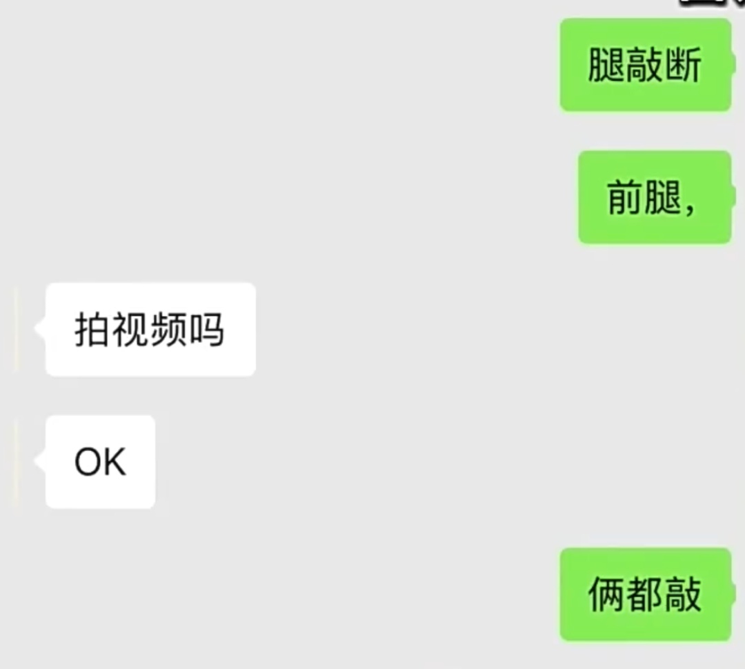 虐待动物“卖惨”！警方揭秘流浪动物网络救助“六步走”骗局