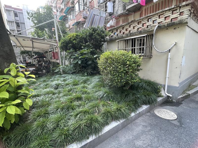 事发上海市区！黄鼠狼频繁出没，专往私家车里钻，发动机盖板被咬出大洞