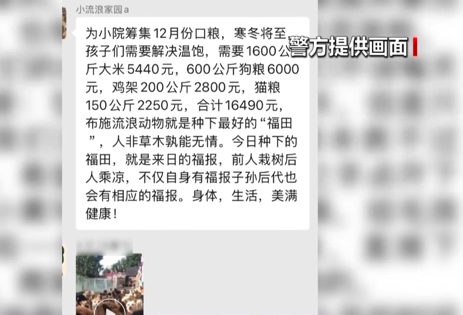 虐待动物“卖惨”！警方揭秘流浪动物网络救助“六步走”骗局