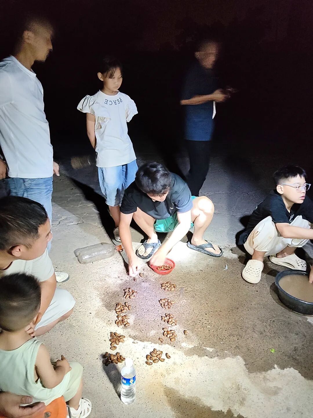 郑州郊区摸知了猴火了，商贩收购8毛6一只；有72岁大爷3个小时摸了460只，赚了近400元