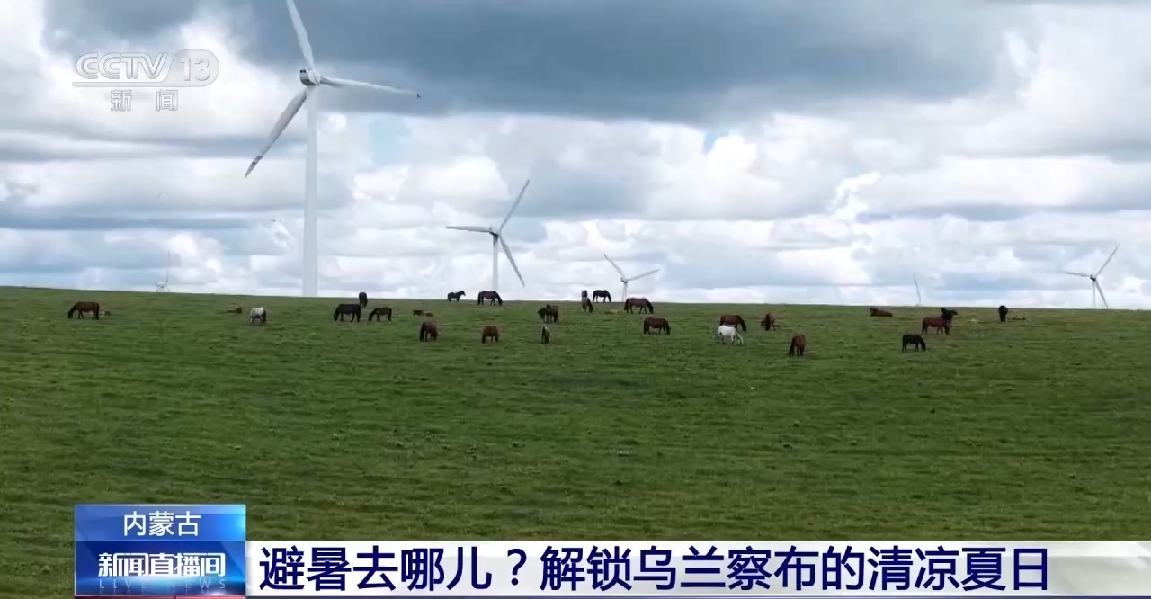 暑期游持续升温 解锁草原、高原清凉夏日多元玩法