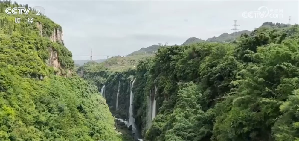避暑游成为暑期文旅消费主流 “清凉经济”让“凉资源”变“热动力”解锁新活力