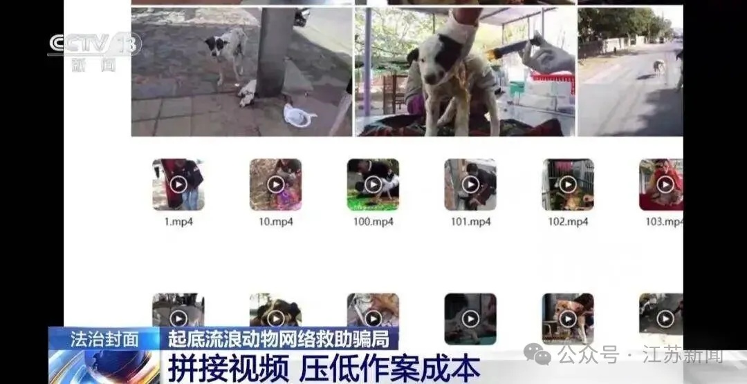 嘴上救狗、暗下狠手,这群骗子该好好管管了! 嘴上救狗、暗下狠手,这群骗子该好好管管了!