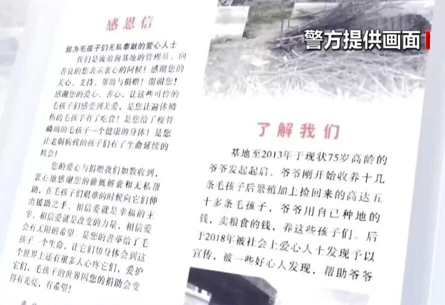 虐待动物“卖惨”！警方揭秘流浪动物网络救助“六步走”骗局