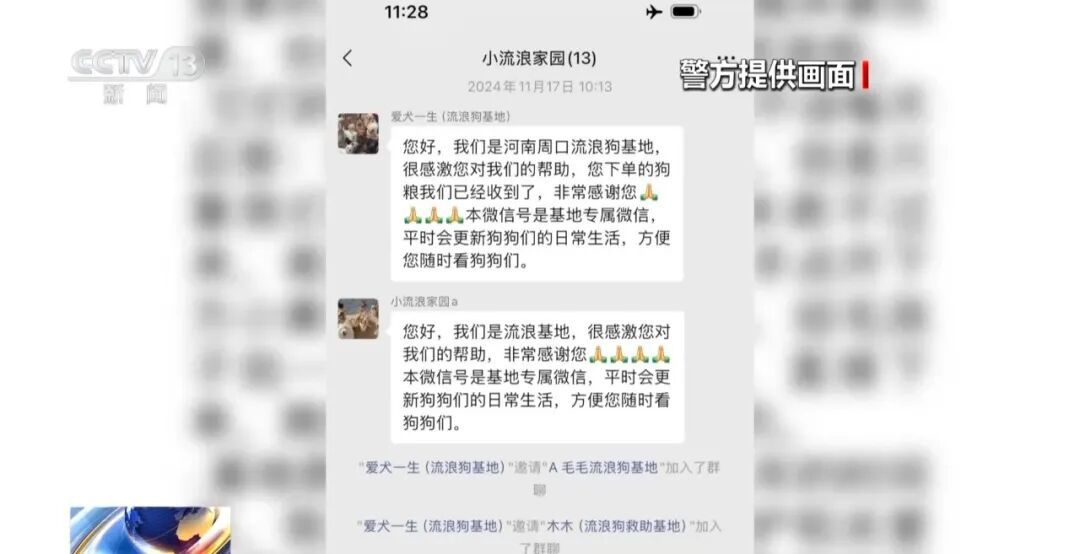 央视曝光流浪动物救助骗局：低价买残疾、年老流浪狗，摆拍拉群催捐款