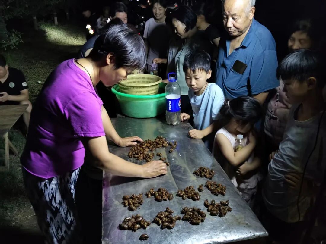 郑州郊区摸知了猴火了，商贩收购8毛6一只；有72岁大爷3个小时摸了460只，赚了近400元