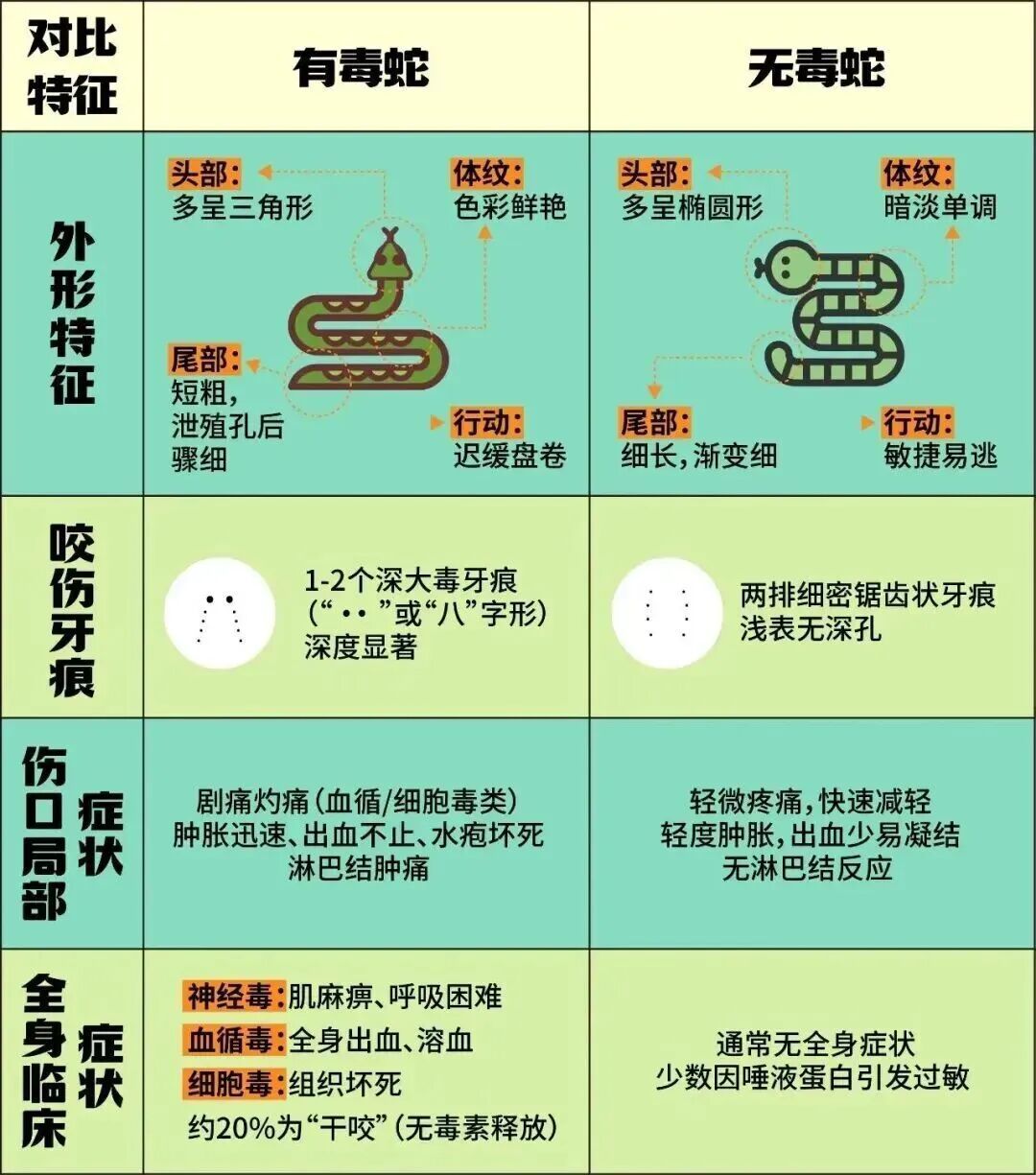 广东一男子上厕所撞见2米长蛇疯狂窜动，还不断张嘴示威！于是30秒淡定捕获