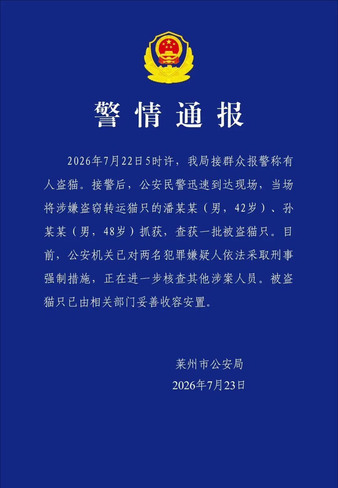 “数百只猫被盗窃转运”，警方通报
