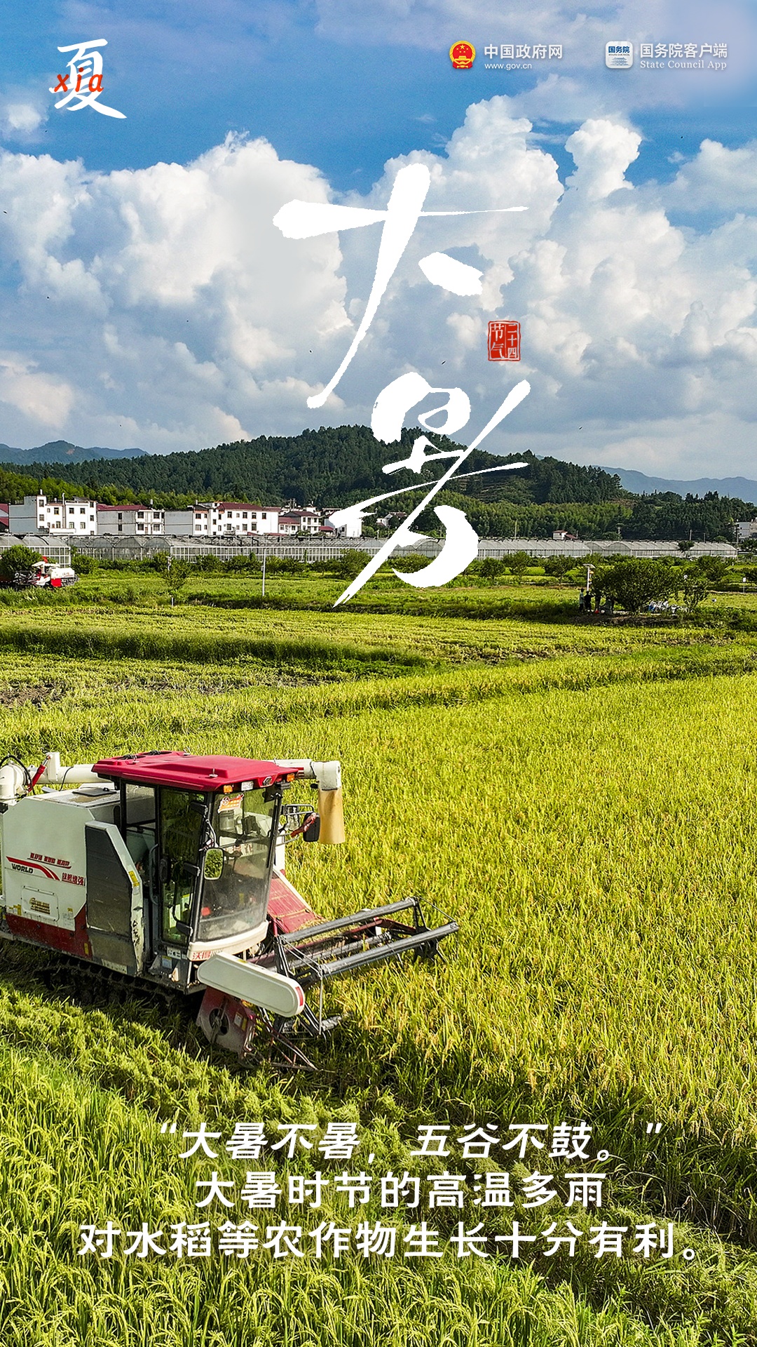 大暑来了！吃这些消暑→