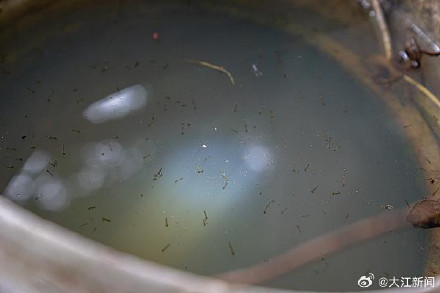 招蚊子真的和血型有关吗？夏季科学防蚊、灭蚊这样做