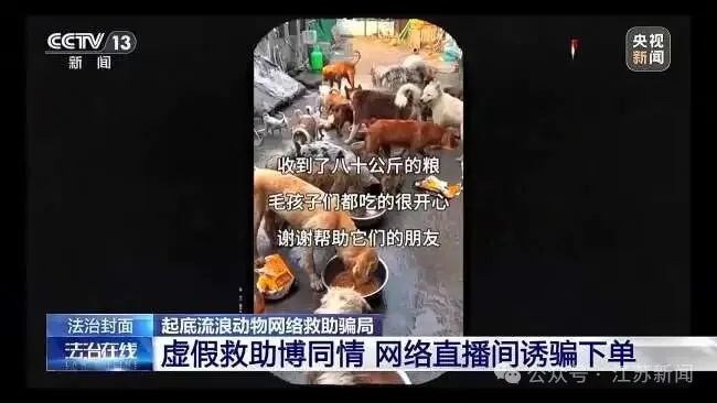 嘴上救狗、暗下狠手,这群骗子该好好管管了! 嘴上救狗、暗下狠手,这群骗子该好好管管了!