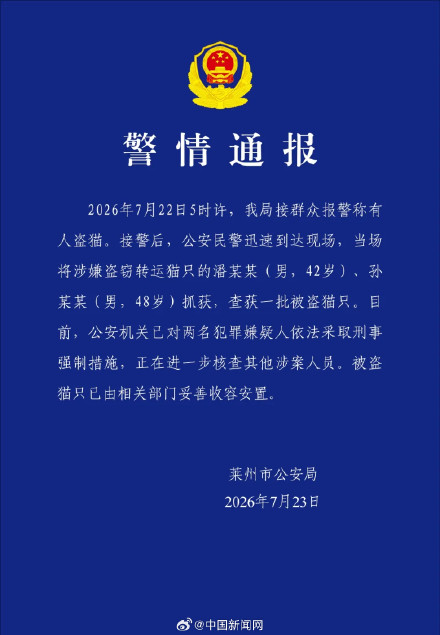 警方通报数百只猫被盗窃转运
