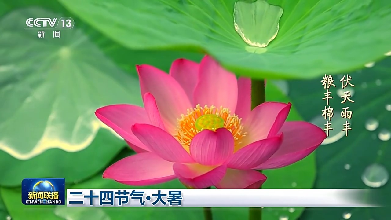 二十四节气·大暑 感受盛夏最浓时 二十四节气·大暑 感受盛夏最浓时