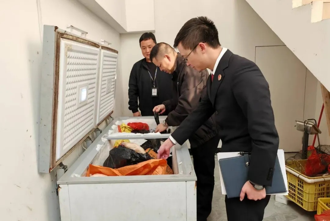 一只“出逃”穿山甲撕开野生动物地下交易网 一只“出逃”穿山甲撕开野生动物地下交易网