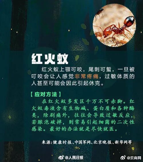 全身抽搐、意识模糊!昆明一男子钓鱼时险丧命…… 全身抽搐、意识模糊!昆明一男子钓鱼时险丧命……