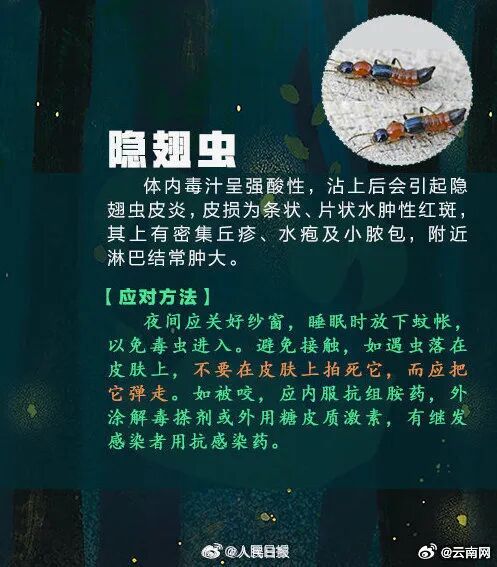 全身抽搐、意识模糊!昆明一男子钓鱼时险丧命…… 全身抽搐、意识模糊!昆明一男子钓鱼时险丧命……