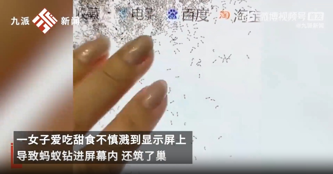 蚂蚁钻进电脑显示屏“筑巢”,当事人:桌面长期保持整洁,显示屏用了6年…… 蚂蚁钻进电脑显示屏“筑巢”,当事人:桌面长期保持整洁,显示屏用了6年……