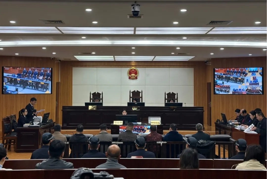 一只“出逃”穿山甲撕开野生动物地下交易网 一只“出逃”穿山甲撕开野生动物地下交易网