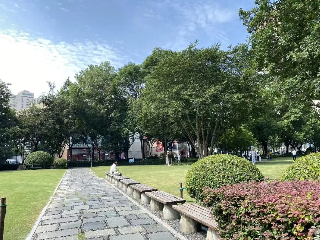 三伏天的上海,公园又现晒背族!医生提醒:这三类人别晒 三伏天的上海,公园又现晒背族!医生提醒:这三类人别晒