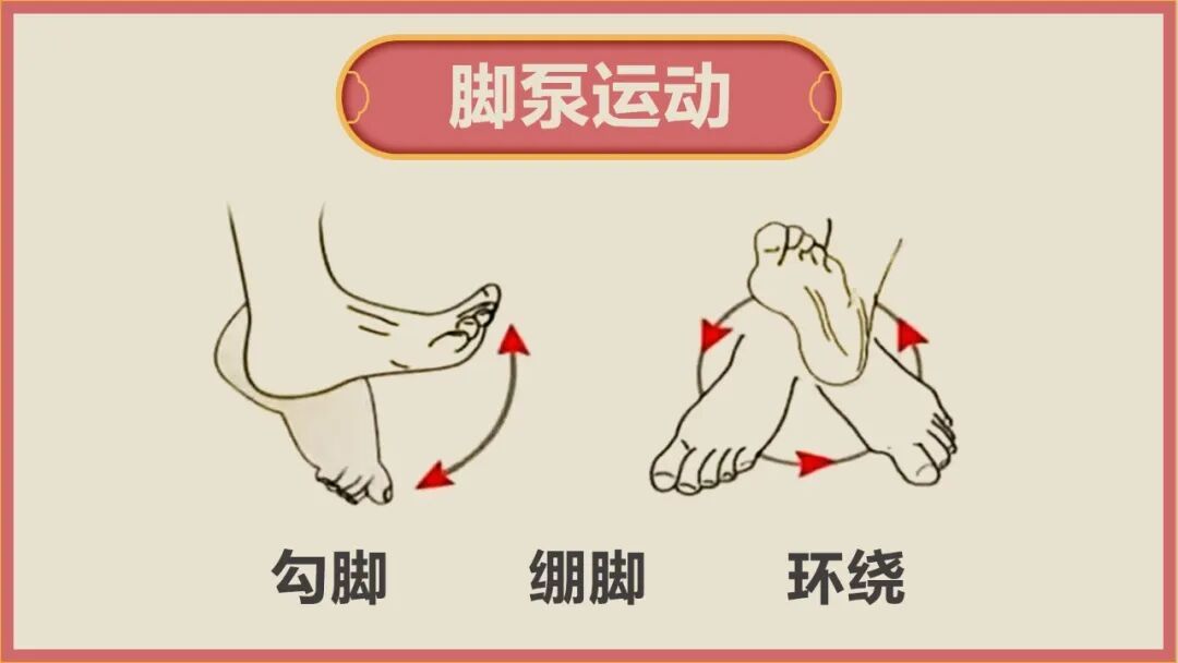 血栓就“怕”你这样动，常做气血通了、血管不堵，久坐、三高人群更要练