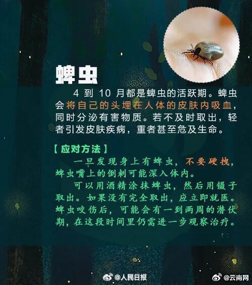 全身抽搐、意识模糊!昆明一男子钓鱼时险丧命…… 全身抽搐、意识模糊!昆明一男子钓鱼时险丧命……