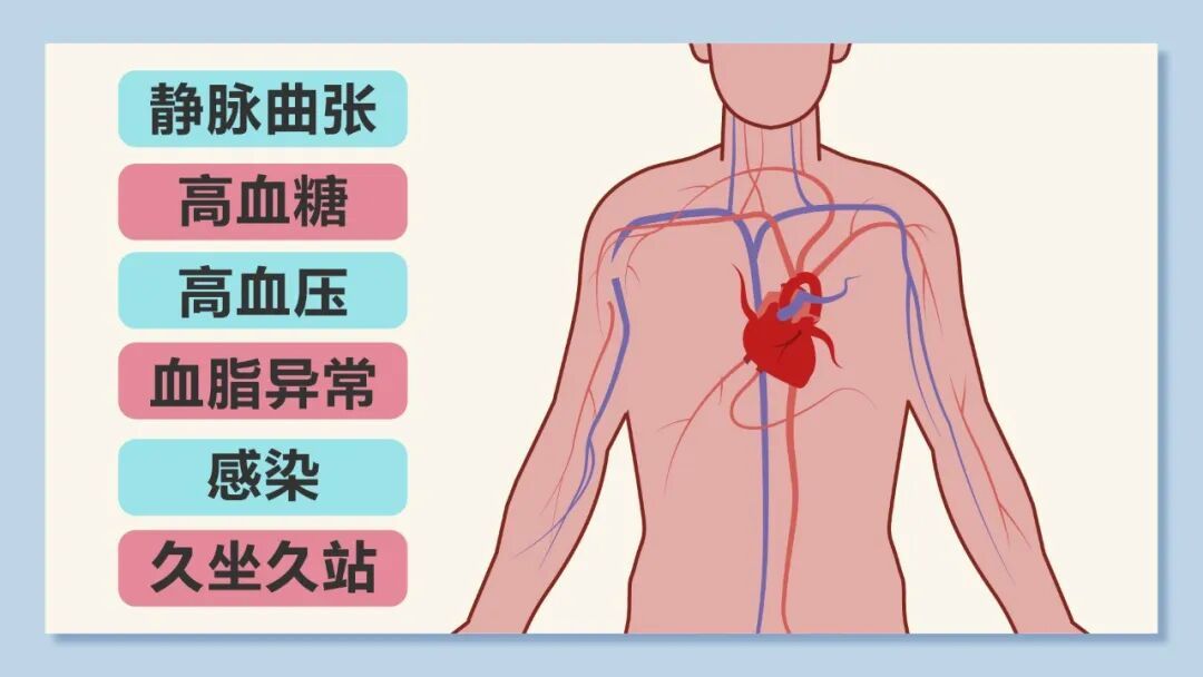 血栓就“怕”你这样动，常做气血通了、血管不堵，久坐、三高人群更要练