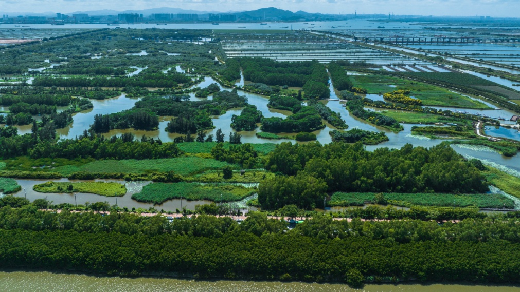 受台风“红霞”影响,广州部分景区暂停开放 受台风“红霞”影响,广州部分景区暂停开放