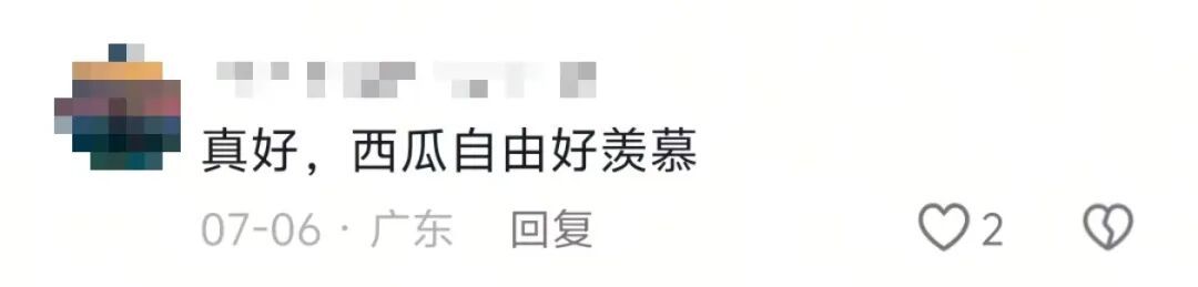 都放暑假了,学校为啥还买下一万斤西瓜? 都放暑假了,学校为啥还买下一万斤西瓜?