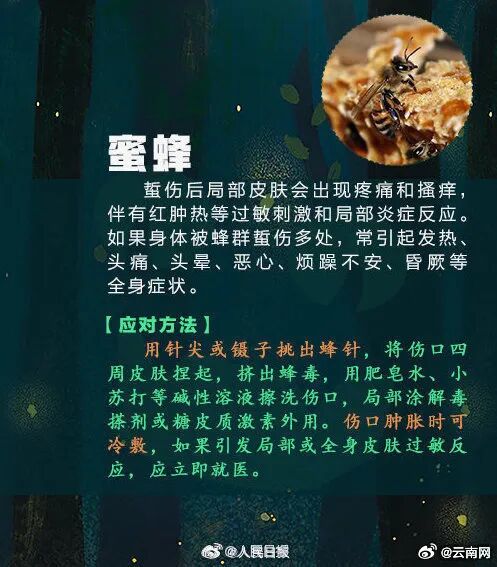 全身抽搐、意识模糊!昆明一男子钓鱼时险丧命…… 全身抽搐、意识模糊!昆明一男子钓鱼时险丧命……