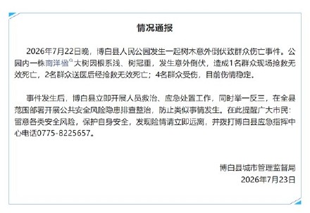 广西博白通报大树倾倒致3死4伤 广西博白通报大树倾倒致3死4伤
