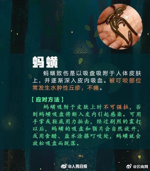 全身抽搐、意识模糊!昆明一男子钓鱼时险丧命…… 全身抽搐、意识模糊!昆明一男子钓鱼时险丧命……
