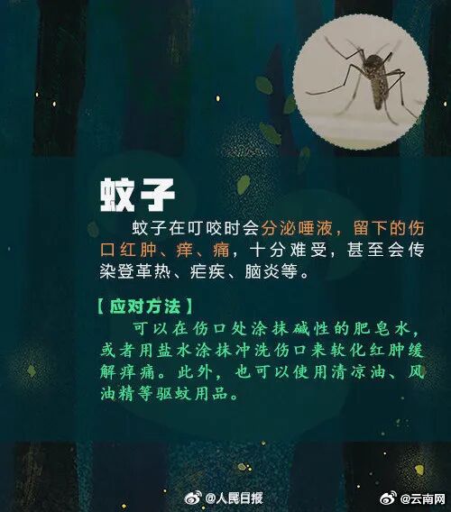 全身抽搐、意识模糊!昆明一男子钓鱼时险丧命…… 全身抽搐、意识模糊!昆明一男子钓鱼时险丧命……