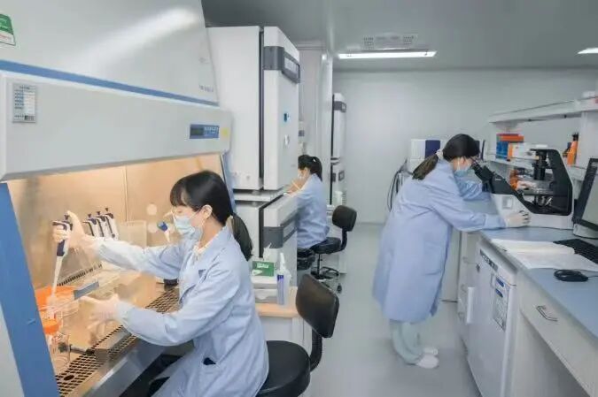 南京养出来的“二师兄”,身价100万! 南京养出来的“二师兄”,身价100万!