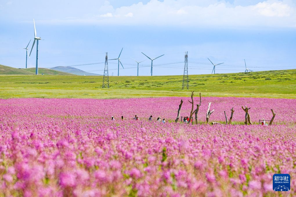 夏日好光景 出游正当时 夏日好光景 出游正当时