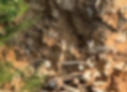 网传“山西运城一路面塌陷处现大量白骨”,真相来了 网传“山西运城一路面塌陷处现大量白骨”,真相来了