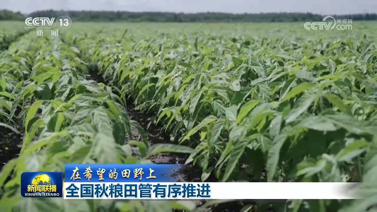 【在希望的田野上】全国秋粮田管有序推进 【在希望的田野上】全国秋粮田管有序推进
