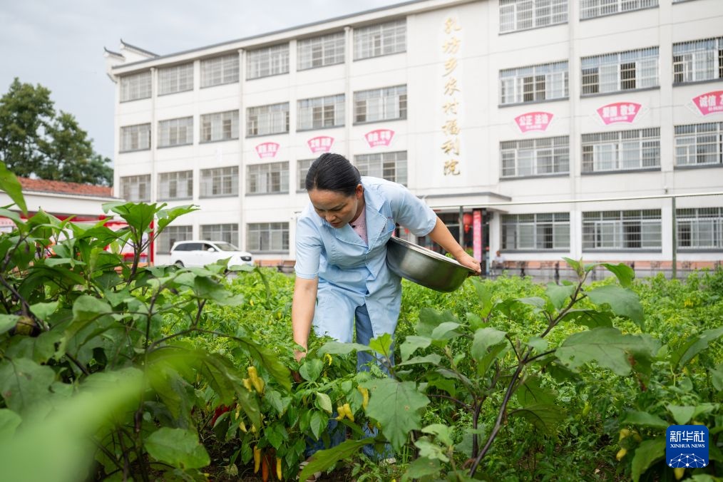 基层一线党旗红丨大别山下的养老守护者 基层一线党旗红丨大别山下的养老守护者