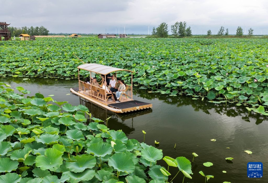 夏日好光景 出游正当时 夏日好光景 出游正当时