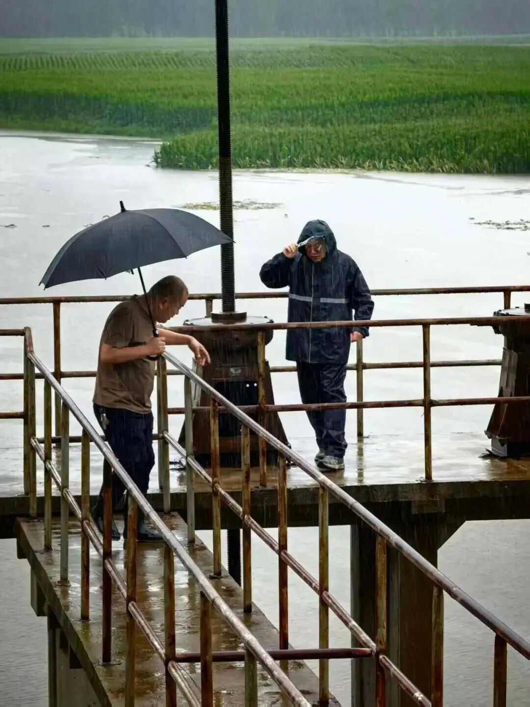 辽宁副镇长王天贺,带着两枚心脏支架,冲上防汛一线,突发心脏病逝世,年仅46岁 辽宁副镇长王天贺,带着两枚心脏支架,冲上防汛一线,突发心脏病逝世,年仅46岁
