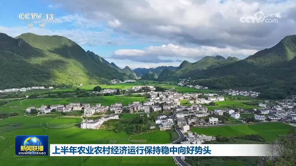 上半年农业农村经济运行保持稳中向好势头 上半年农业农村经济运行保持稳中向好势头