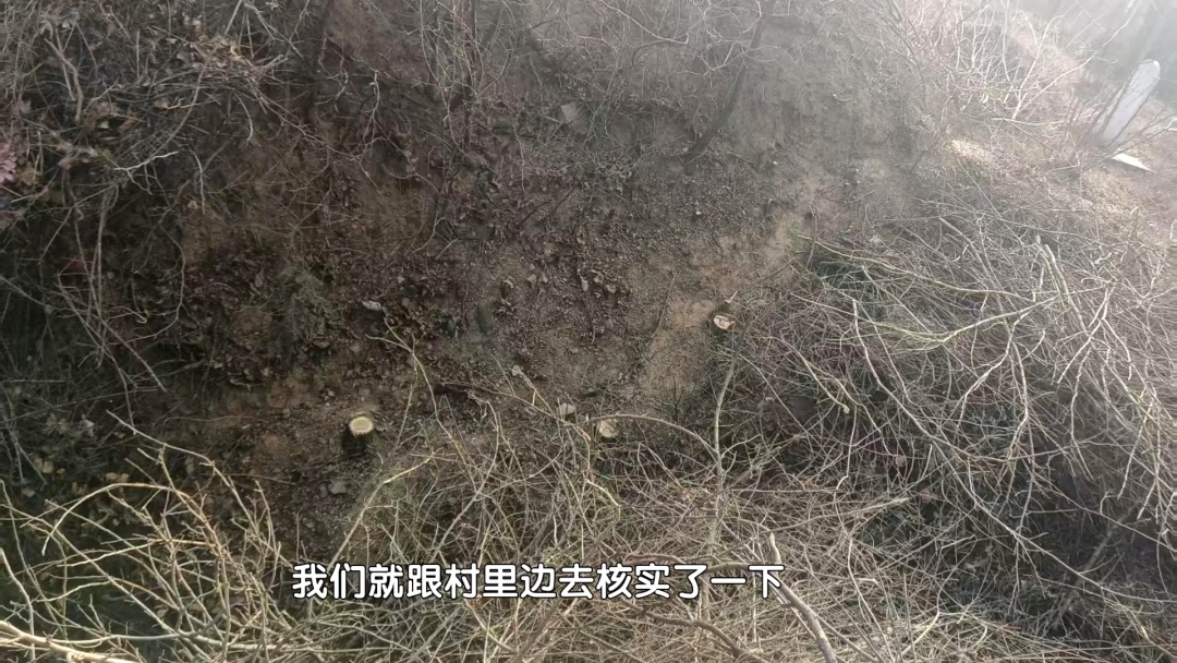 北京警方拘留1名男子:非法滥伐林木 北京警方拘留1名男子:非法滥伐林木
