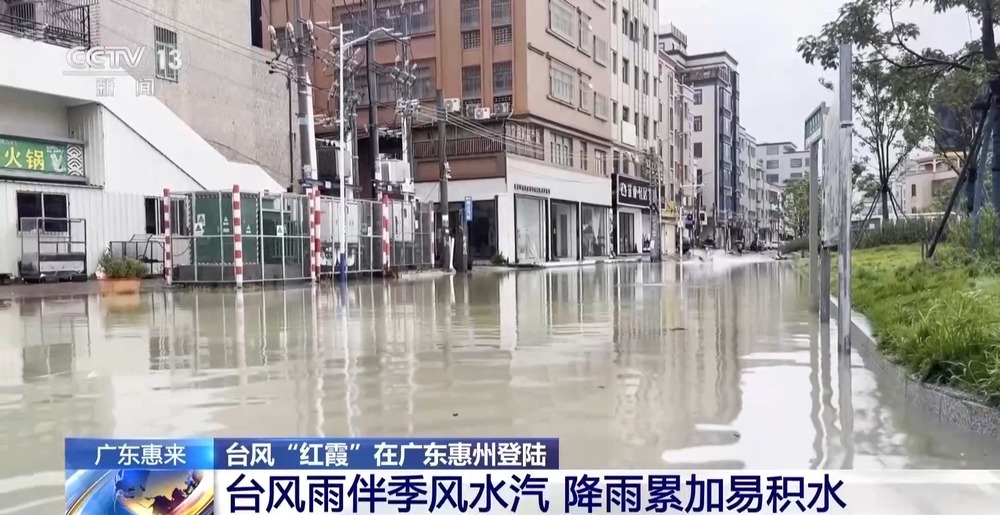 巨型树木倒伏覆盖主干道 广东惠来紧急抢险除障