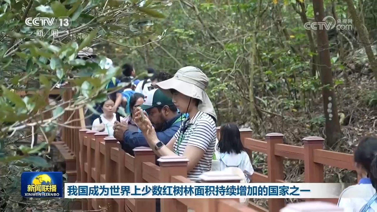 我国成为世界上少数红树林面积持续增加的国家之一 我国成为世界上少数红树林面积持续增加的国家之一